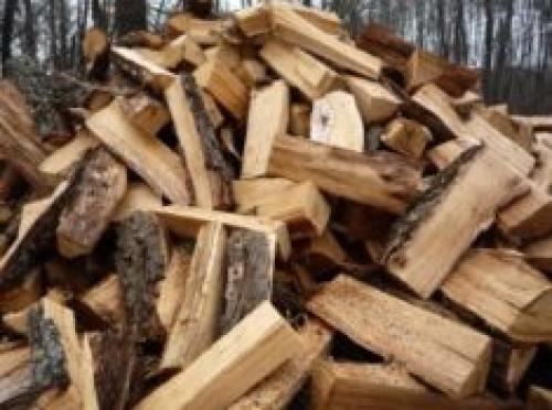 Можно ли топить сосновыми дровами печь